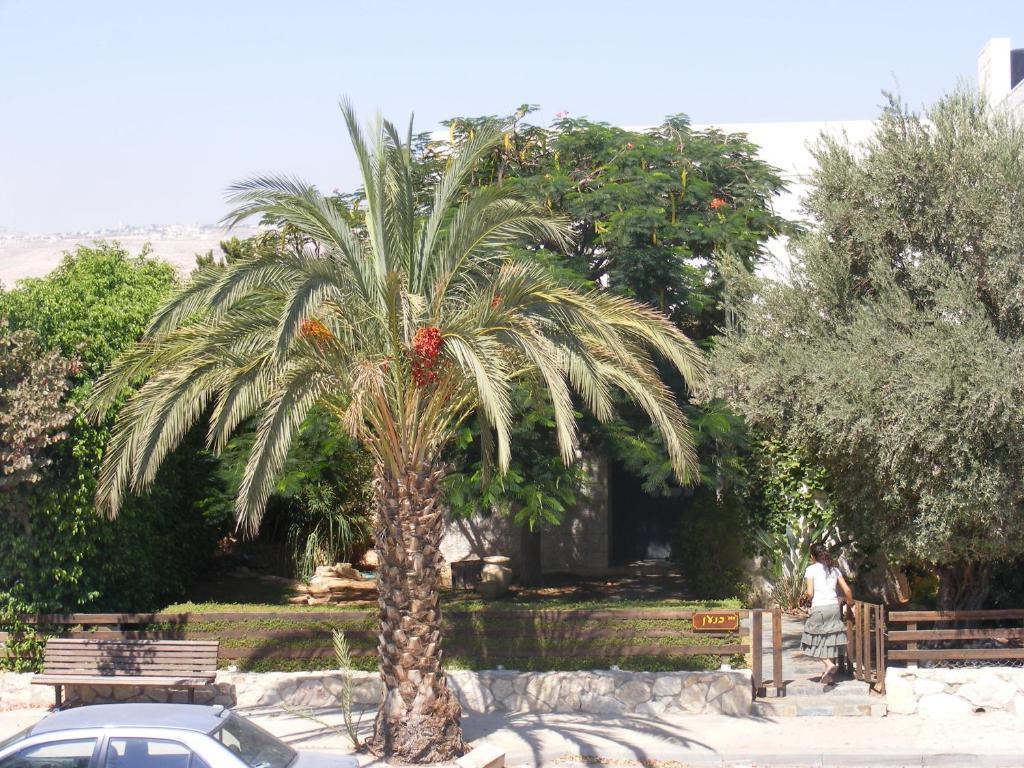 Nof Canaan Kfar Adumim Luaran gambar